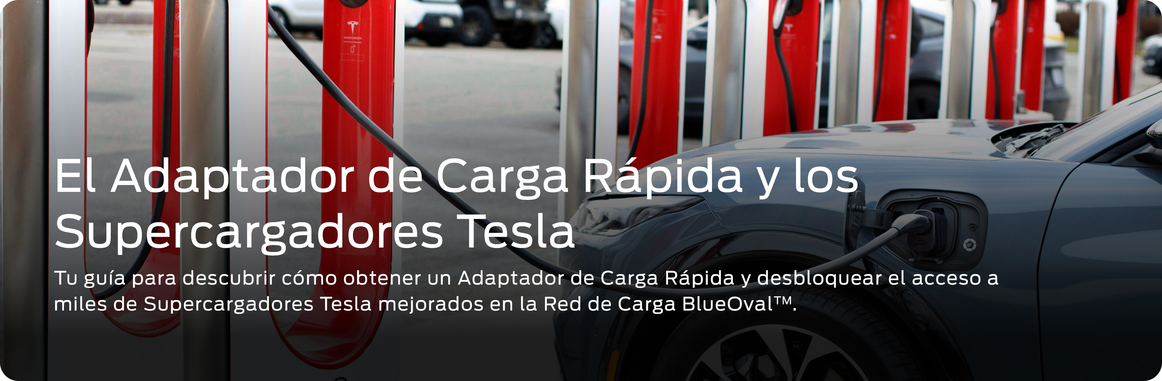 Mustang Mach-E plugged into Tesla Supercharger using a Fast Charging Adapter