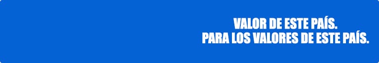 banner de Blue con el logo de Ford Gran Venta