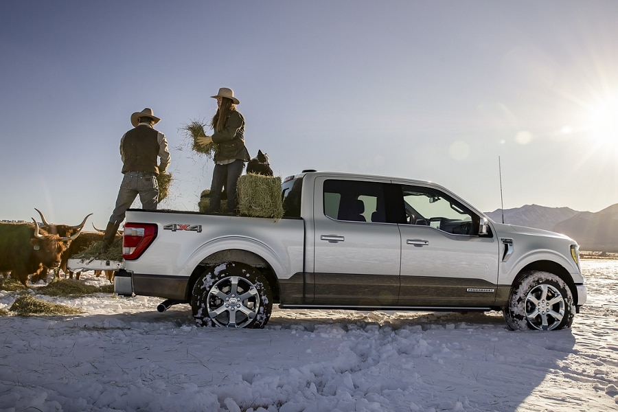 Dos personas paradas en la plataforma de una Ford F-150® Powerboost™ hybrid 2023 estacionada en una llanura nevada.