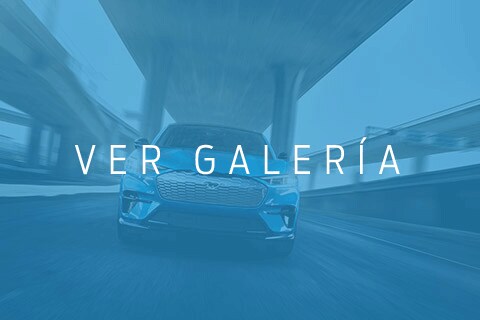 Una imagen con cubierta de galería en tono Blue con vista frontal de una Ford Mustang Mach E pasando debajo de un paso elevado de la autopista